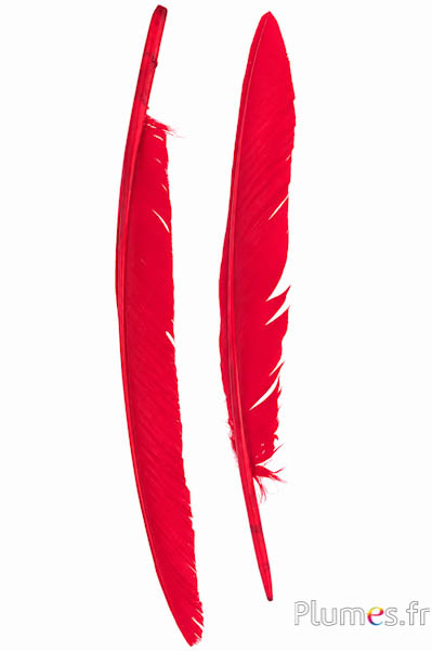 Schwan - 35-40 cm - karminrot